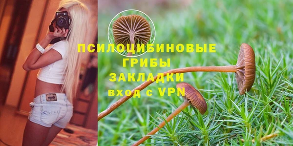 первитин Ельня
